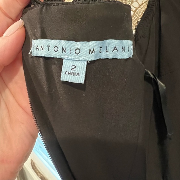 Antonio Melani - Picture 4 of 4